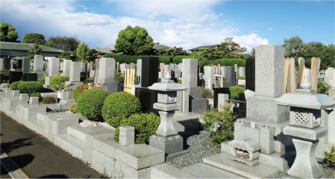 ホール清庵