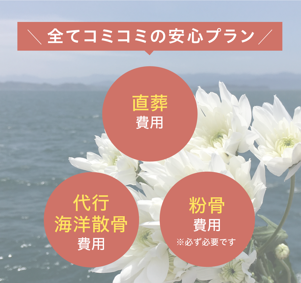 ホール清庵